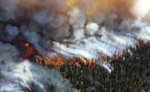 Ущерб от пожаров на Луганщине исчисляется миллиардами гривен, — министр экологии
