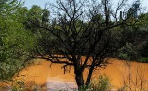 В Золотом течет «оранжевая река» из шахтных вод