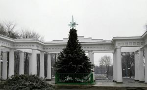 В Луганске вандалы пытались поджечь новогоднюю ель в парке имени Горького. ФОТО