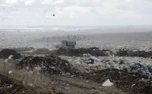 Полигон твердых бытовых отходов в Александровке будут расширять. Чем это грозит Луганску