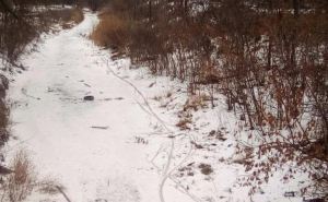 В Луганске окончательно пересох приток реки Лугань. ФОТО
