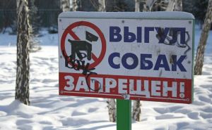 В Луганске ввели запрет на выгул животных парках, скверах и городских зеленых зонах
