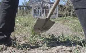 Житель Донбасса подорвался на взрывном устройстве, когда сажал картошку на своем огороде