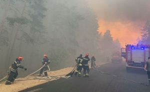 Никаких пожаров летом 2021! — Луганской и Донецкой ОГА поручили обеспечить безопасность в летний период