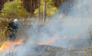 Пожарные Луганщины ликвидировали полтысячи возгораний сухой травы и мусора