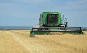 В Луганске заявили, что ожидают хороший урожай пшеницы. Уборочная уже стартует
