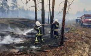 Жителей Донбасса предупреждают о чрезвычайной пожарной опасности и последствиях