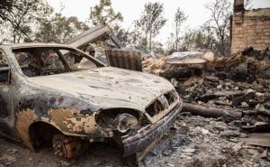 В сгоревшем Вороново в субботу откроют памятный знак погибшим от лесных пожаров в 2020 году
