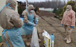 Вспышка птичьего гриппа зафиксирована в Луганской области