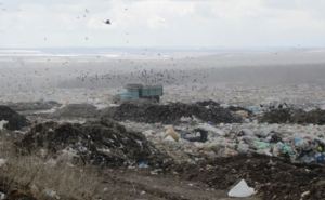 Власти Луганска планируют значительное расширение полигона твердых бытовых отходов, расположенного в Александровске.
