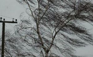 На Луганщине объявлено штормовое предупреждение: сегодня днем усиление ветра до 20 метров в секунду.
