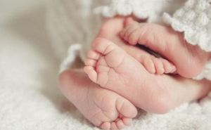 Две двойни родились в Луганске на минувшей неделе