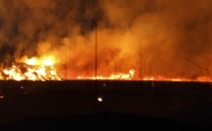 Вокруг Луганска пожары на территории почти 400 гектар. Сгорело оборудование мобильной связи
