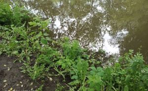 Уровень воды в реке Лугань сильно поднялся в районе Луганска. Городу грозит подтопление? ФОТО