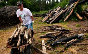 Чиновники призывают жителей Украины запасаться дровами