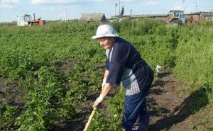 Жителям Украины напомнили, что нужно платить налог с огорода