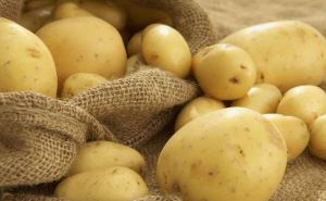 Врач развеяла миф о вреде картофеля при похудении