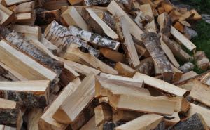 Бесплатные дрова для отопления начали развозить жителям Украины: какие документы нужны для получения