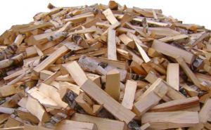 Украина собрала рекордный запас топливной древесины