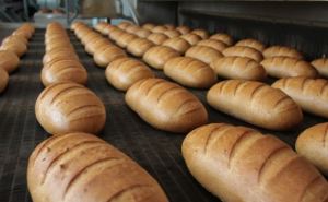 Грозит ли Украине дефицит хлеба