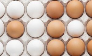 Яйца подешевеют почти в два раза: фермеры рассказали когда