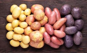 Что будет с картофелем в Украине в этом году
