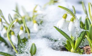 Весна начнется с тепла, а кое-где с мокрого снега: прогноз погоды на 1 марта