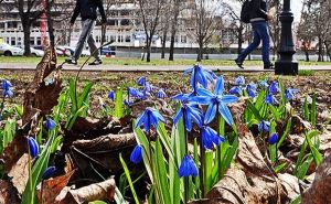В последние мартовские выходные Украину ждут теплые дни и ночи. Прогноз синоптиков.