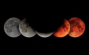 Лунное затмение 5 мая 2023 г. Павел Глоба рассказал что оно несет миру