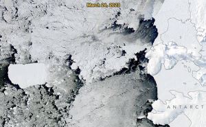 Ученые считают, что тающий ледник Антарктики можно восстановить в ближайшее время