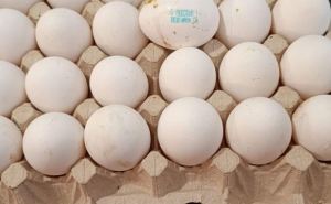В Украине начали падать цены на куриные яйца: в чем причина и во сколько обойдется десяток