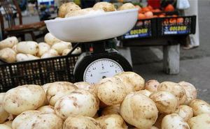 В Украине дешевеет молодой картофель: во сколько обойдется летний овощ