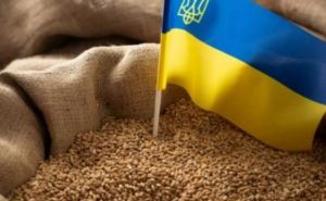 Импорт зерна из Украины в приграничные страны становится угрозой для украинских фермеров. Позиция чиновника ЕС