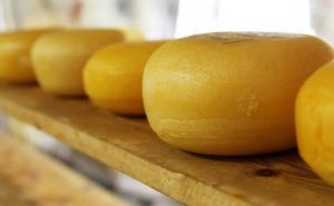 Cыр украинского производства может полностью исчезнуть с прилавков: прогнозы экспертов
