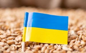Правительство Польши официально продлило запрет на поставку зерна из Украины