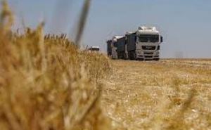 Снято ограничение на импорт украинского зерна