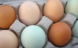 Мало кто знает, чем отличаются цветные яйца: какие выгоднее покупать