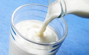 Молочные продукты при простуде есть нельзя. Врач объяснил почему