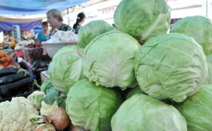 Наконец-то наедимся, думали не дождёмся: в Украине упали цены на важный овощ для борща