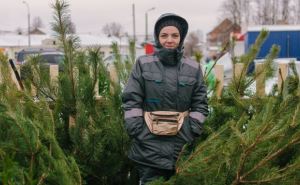 За один метр будете платить 135 гривен: цены на елки в Украине — сколько будет стоить новогоднее настроение