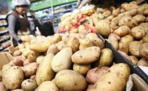 Популярный борщевой овощ взлетел в цене: украинцам придется больше платить за «второй хлеб»