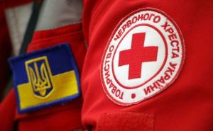 Денежная помощь для граждан Украины со статусом ВПЛ: выплаты от Красного Креста — успейте подать заявку