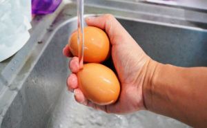 Никогда не мойте яйца перед приготовлением: советы экспертов