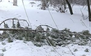 В целом регионе объявлено штормовое предупреждение, возможно падение деревьев