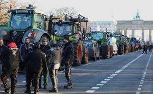Берлинцы в солидарность с протестующими фермерами, поддерживают их продуктами питания