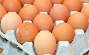 Экспорт яиц в прошлом году принес Украине 60,8 млн. долларов