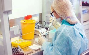 Вирусологи предупреждают об опасности новых вирусов — «болезней X»