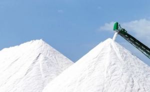 Нидерланды за несколько месяцев поставили Украине 45 миллионов килограмм соли: Для чего?