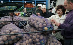 В Украине дорожает важный овощ — будете платить по 23 гривны за килограмм