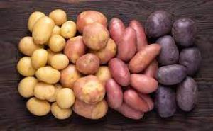 Какой по цвету картофель самый полезный. Ученые не стали молчать